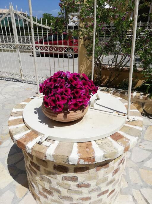 Sunny Stay Furnished Apartment In Kanoni Exterior foto